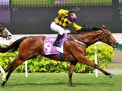 Apprentice jockey Koh Teck Huat guides Freezemaster to an all-the-way win on Sunday.<br>Photo by Singapore Turf Club